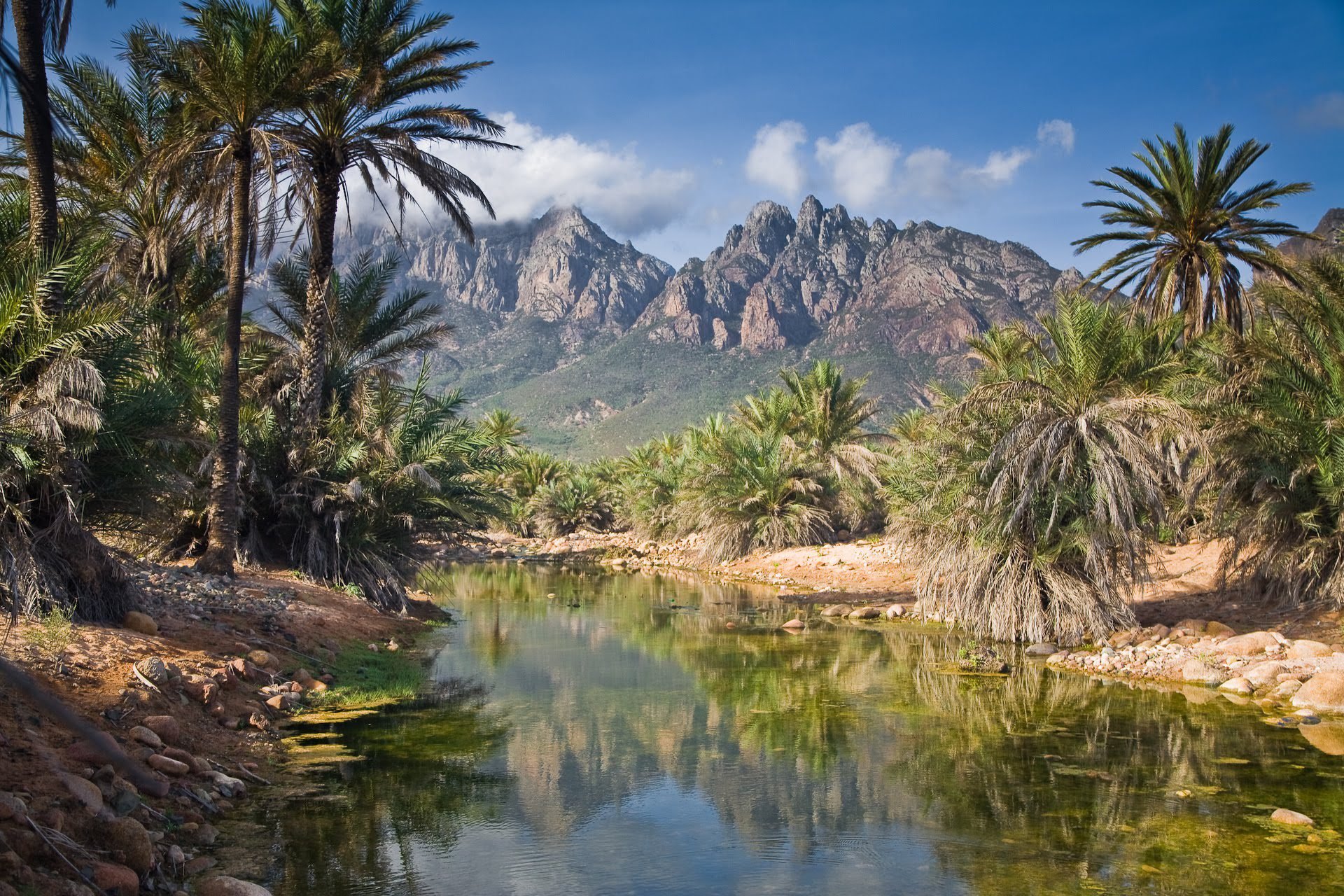 banner-3.jpg