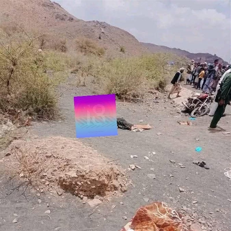 جريمة بشعة تهز البيضاء.. شاب يقتل والده بطريقة مروعة قبل أن يلقى مصرعه