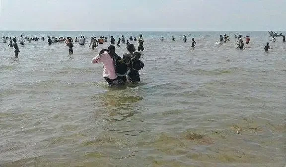 ضبط 348 مهاجرًا أفريقيًا وصلوا بطرق غير مشروعة إلى سواحل شبوة