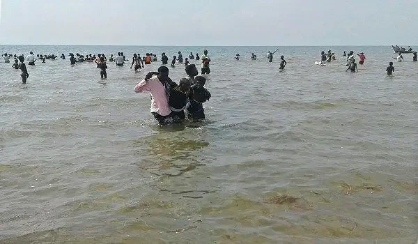 وصول أكثر من 250 مهاجرًا غير شرعي من القرن الإفريقي إلى سواحل شبوة