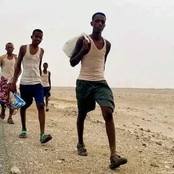 تقرير دولي: دخول أكثر من 18 ألف مهاجر أفريقي إلى اليمن خلال أكتوبر الماضي
