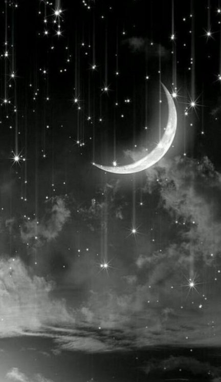 معلومات و فوائد