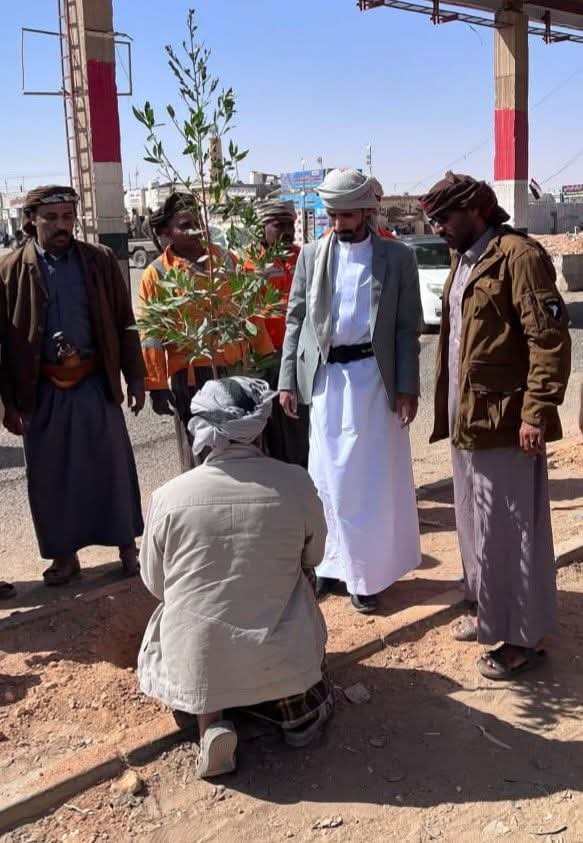 السلطة المحلية بالعبر تدشّن مشروعًا لتشجير وتجميل الشوارع وتعزيز المظهر الحضري