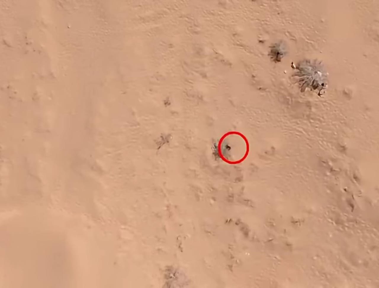 الجيش اليمني يكشف توظيف المسيّرات الهجومية في استهداف مواقع وآليات الحوثيين